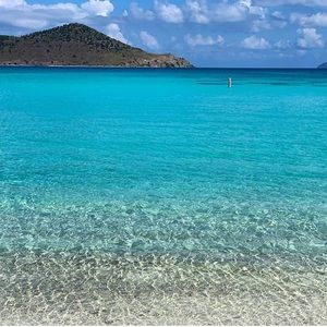 Meet your Posher, Tara